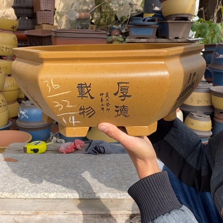 花盆紫砂紫砂壶的一