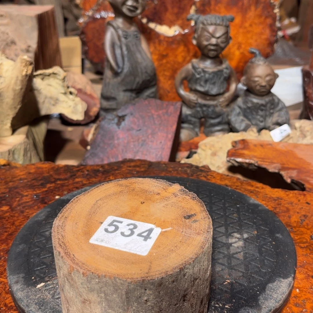 大果紫檀（缅甸花梨）晴***6