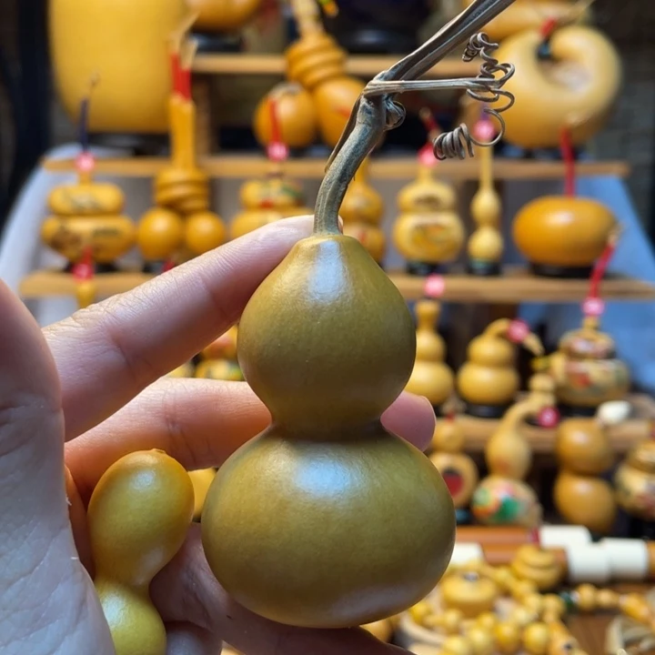 M****天然葫芦自然生长M