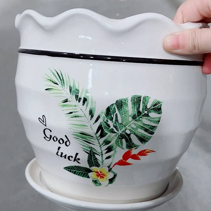 多肉花盆满10元包邮