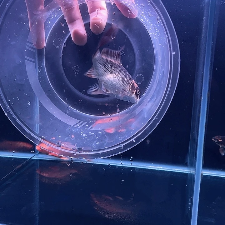 蝴蝶鲤d****林哈哈哈哈哈哈哈哈哈哈