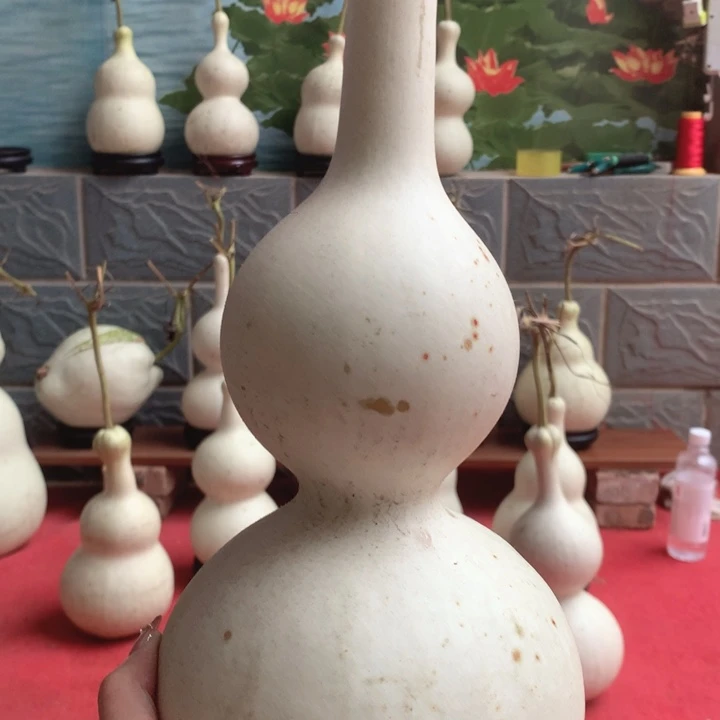 时***酒中号尺寸的尺寸大小