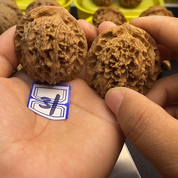 文玩核桃吊坠43大花