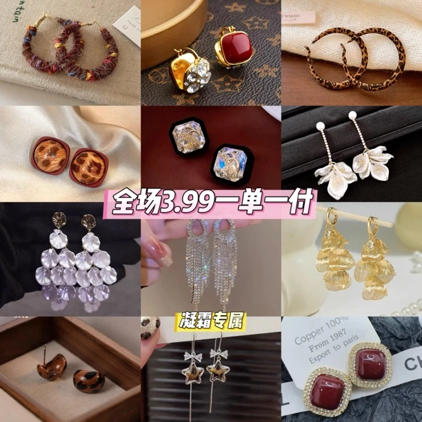 铜合金耳饰 【凝霜】2025新款轻奢高级感气质百搭时尚耳环