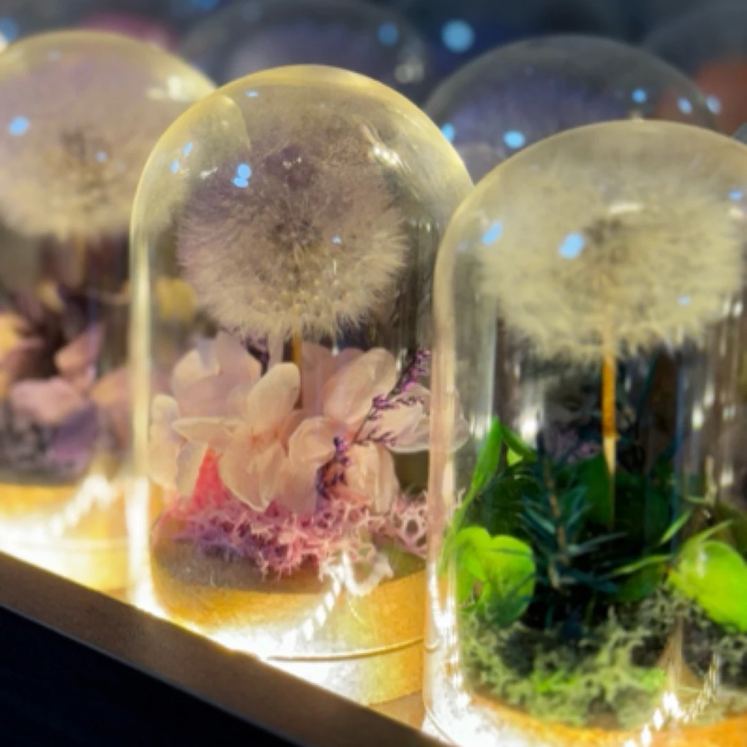 永生花蒲公英-花会枯萎， 爱永不凋零