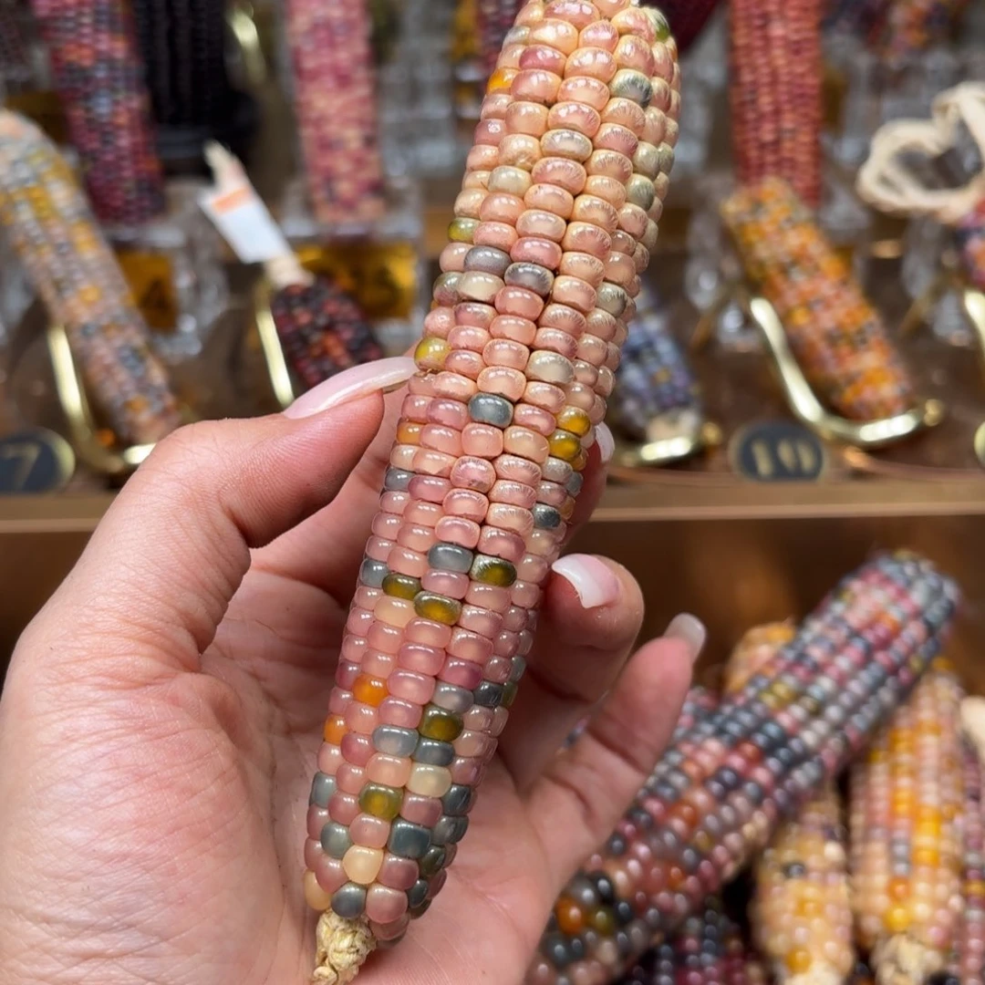 柏香籽/百香籽吊坠h**a