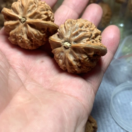 文玩核桃吊坠胡****了宫灯练手