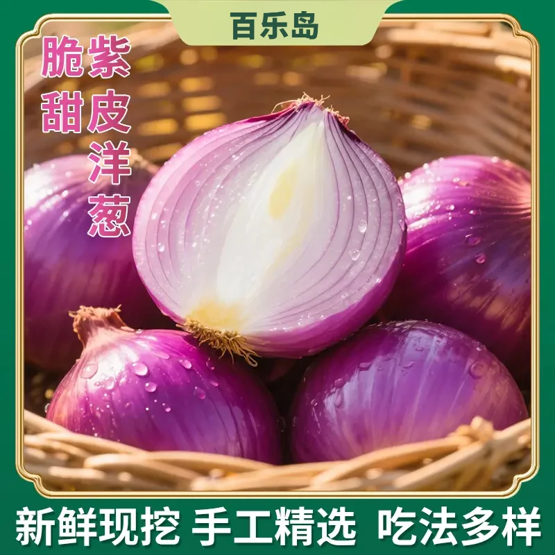 2025新鲜现挖紫皮洋葱炒菜凉拌蔬菜