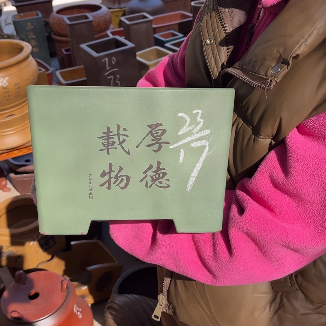 花盆紫砂盆景艺术