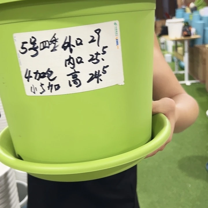 特价5号口29高24.5果绿色20只带托