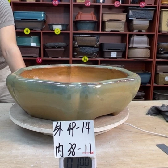 随***园紫砂花盆中香气浓重