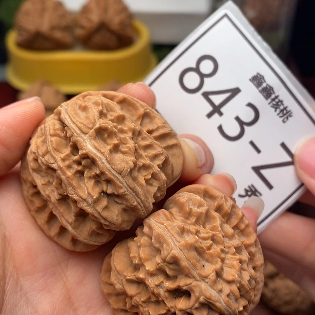 文玩核桃把件白狮子41……