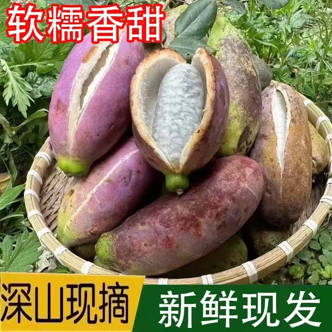 贵州高原八月瓜八月炸新鲜现摘当季水果香甜软糯包邮