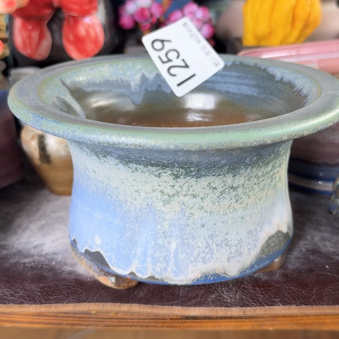 重庆小燕子欢迎大家259