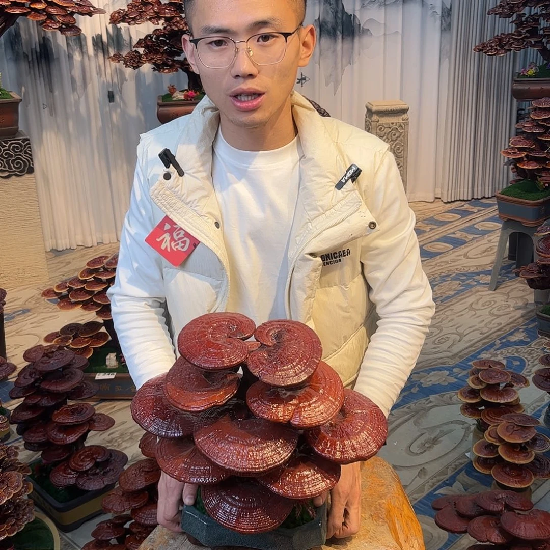 无花朵88888888888