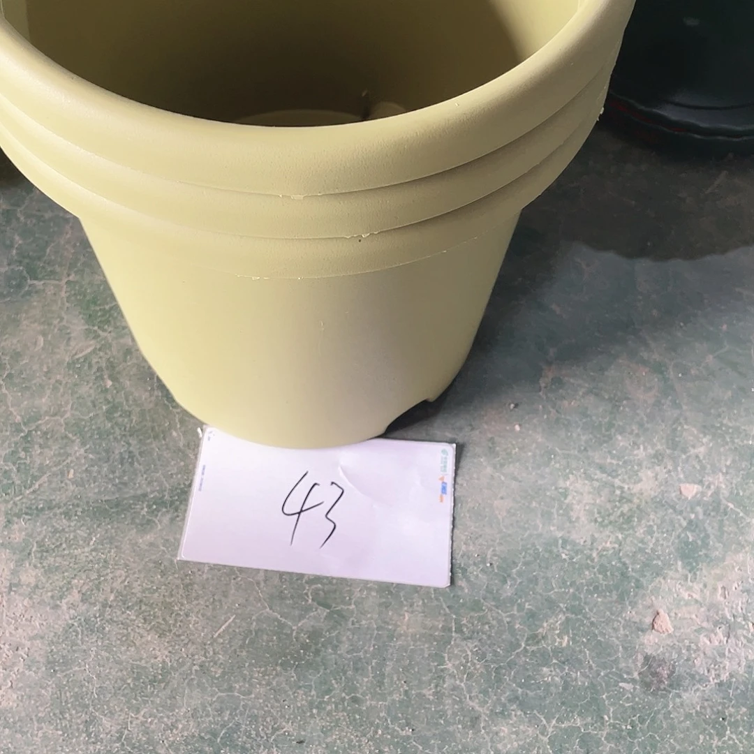 编号是43号的43号的