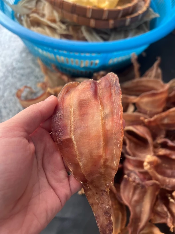 鱼胶血鳘公厚肉26头规格