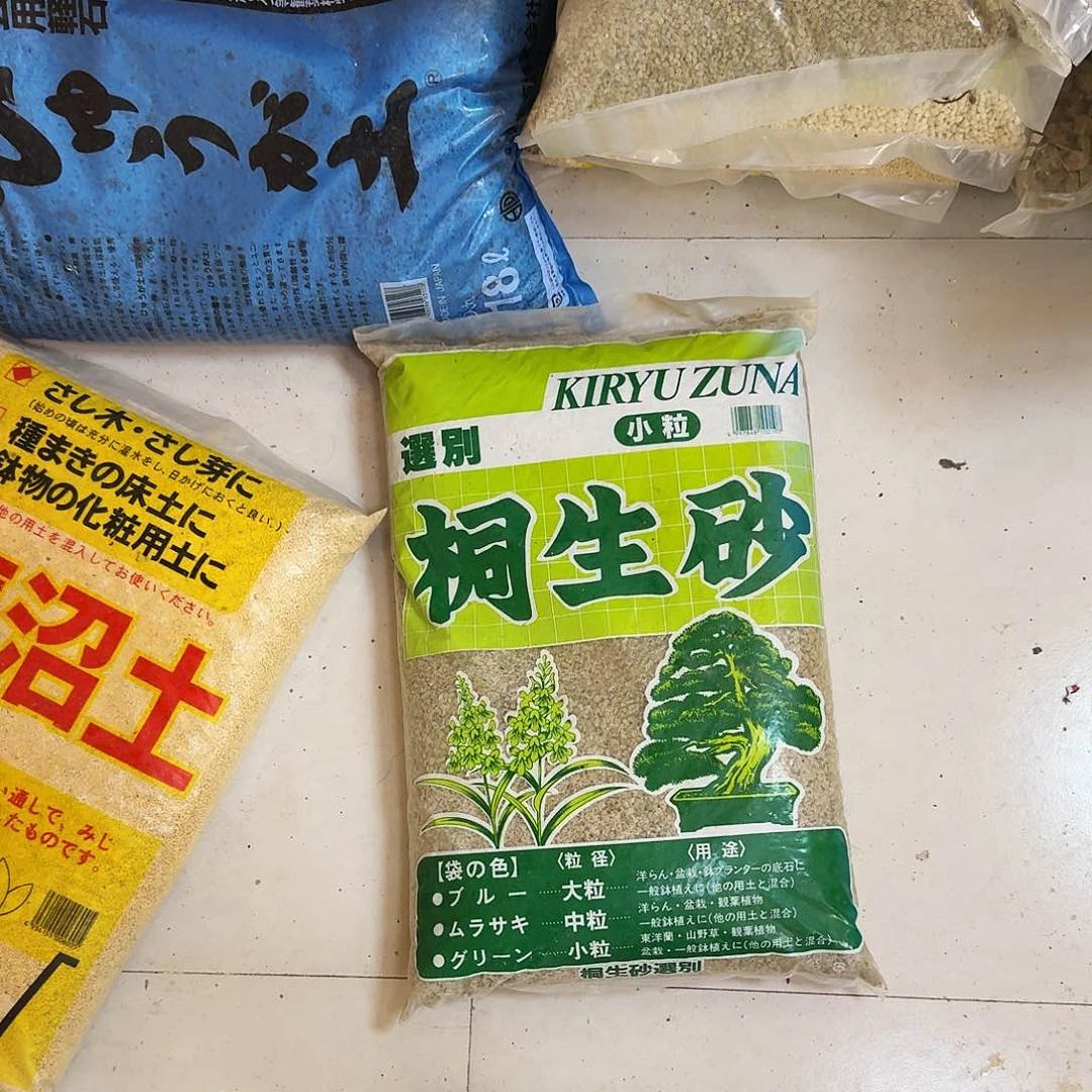 桐生砂3—6一袋包邮，青海新疆西藏勿拍