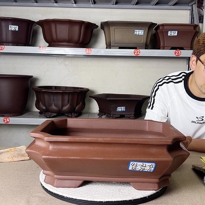 花盆紫砂哈哈哈哈哈