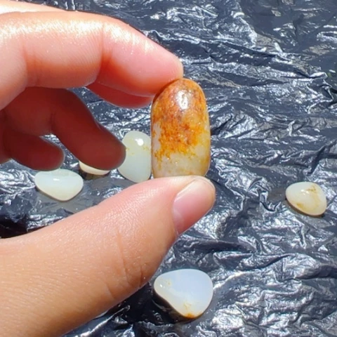 和田玉（子料）未镶嵌颈饰9克