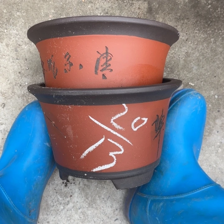 紫砂花盆紫砂的花