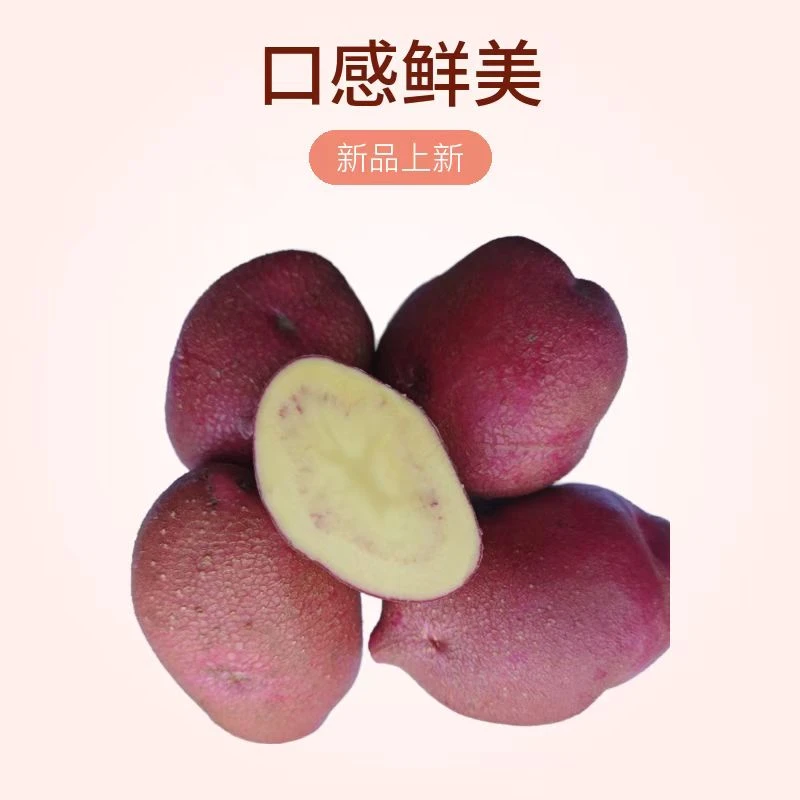 威宁本地红皮黄心土豆