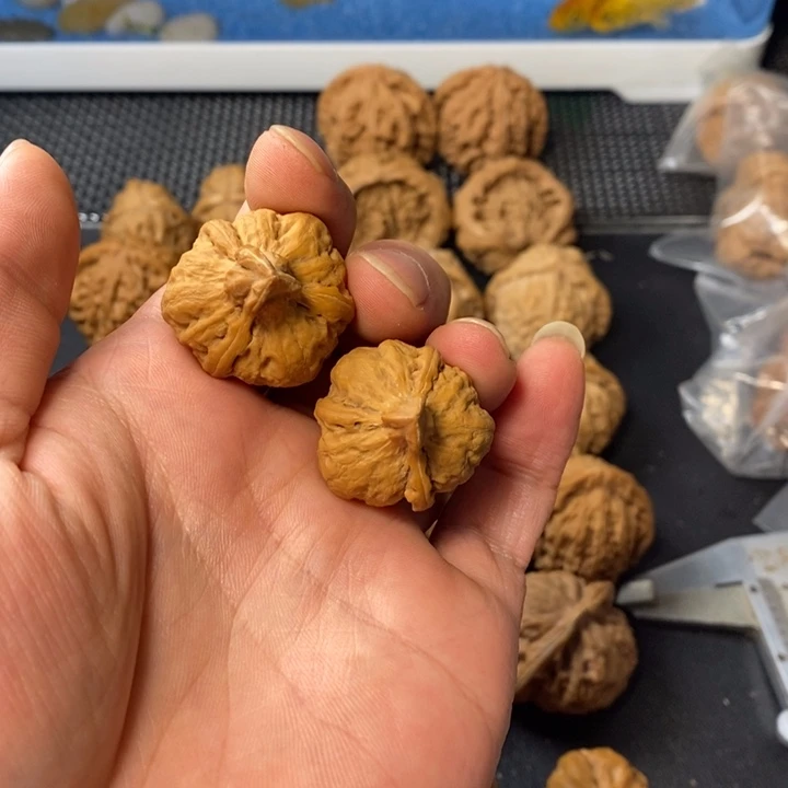 天***上桃核把件35676544567