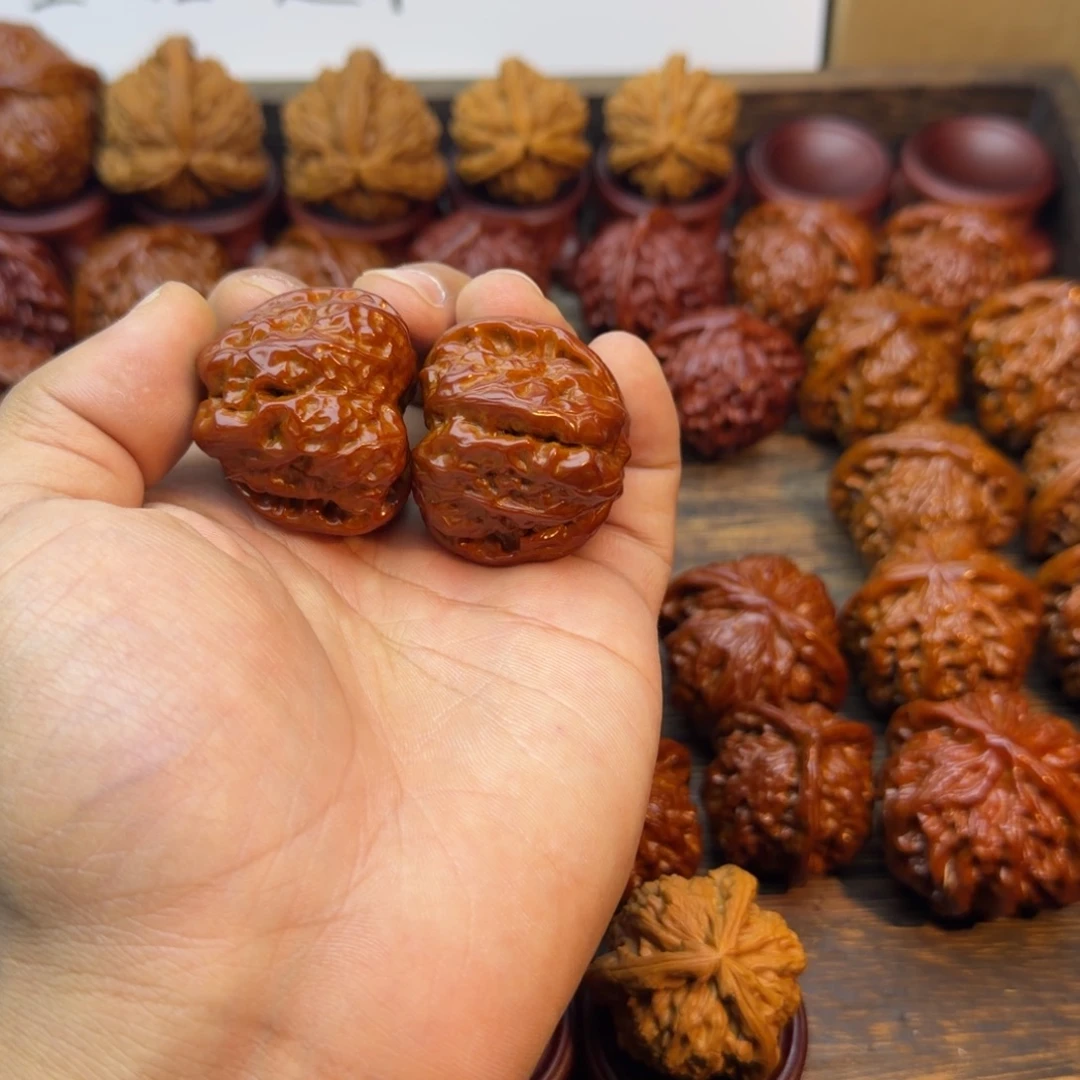 菩提籽类宝贝宝贝宝贝吧