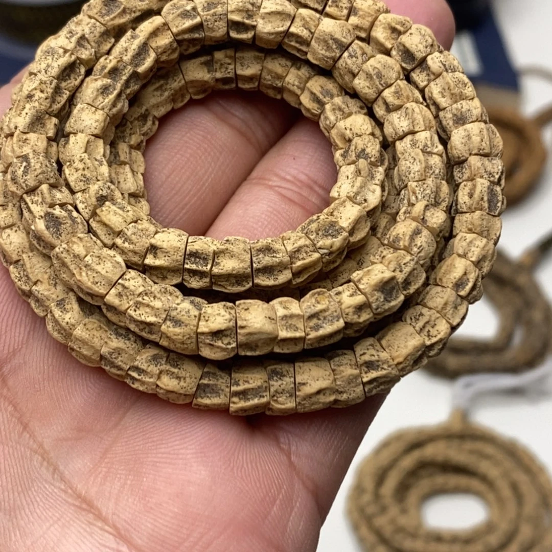 热振柏香籽斜切多楞脏鬼肠108一条