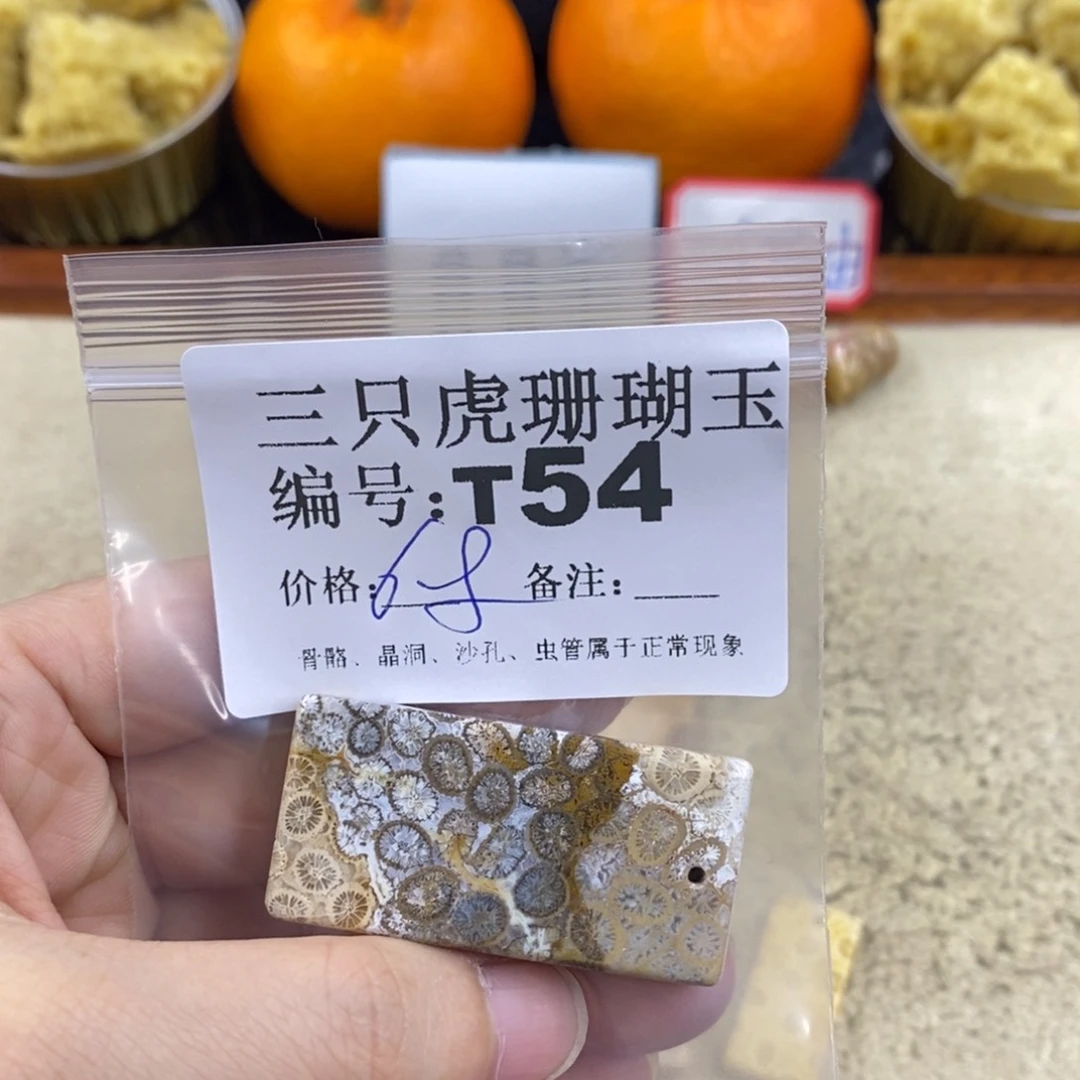 硅化珊瑚（珊瑚玉）1未镶嵌赵*