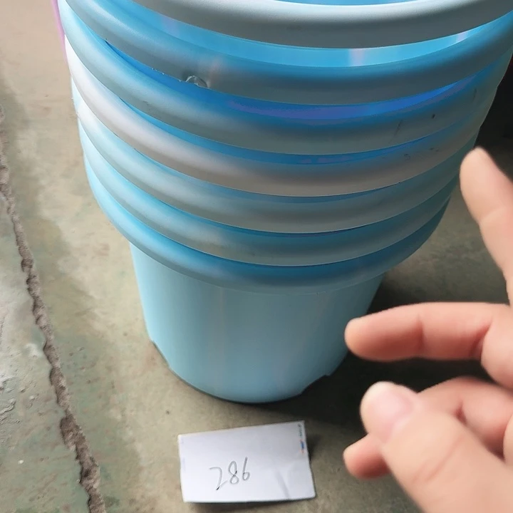 编号286瑕疵7个无托