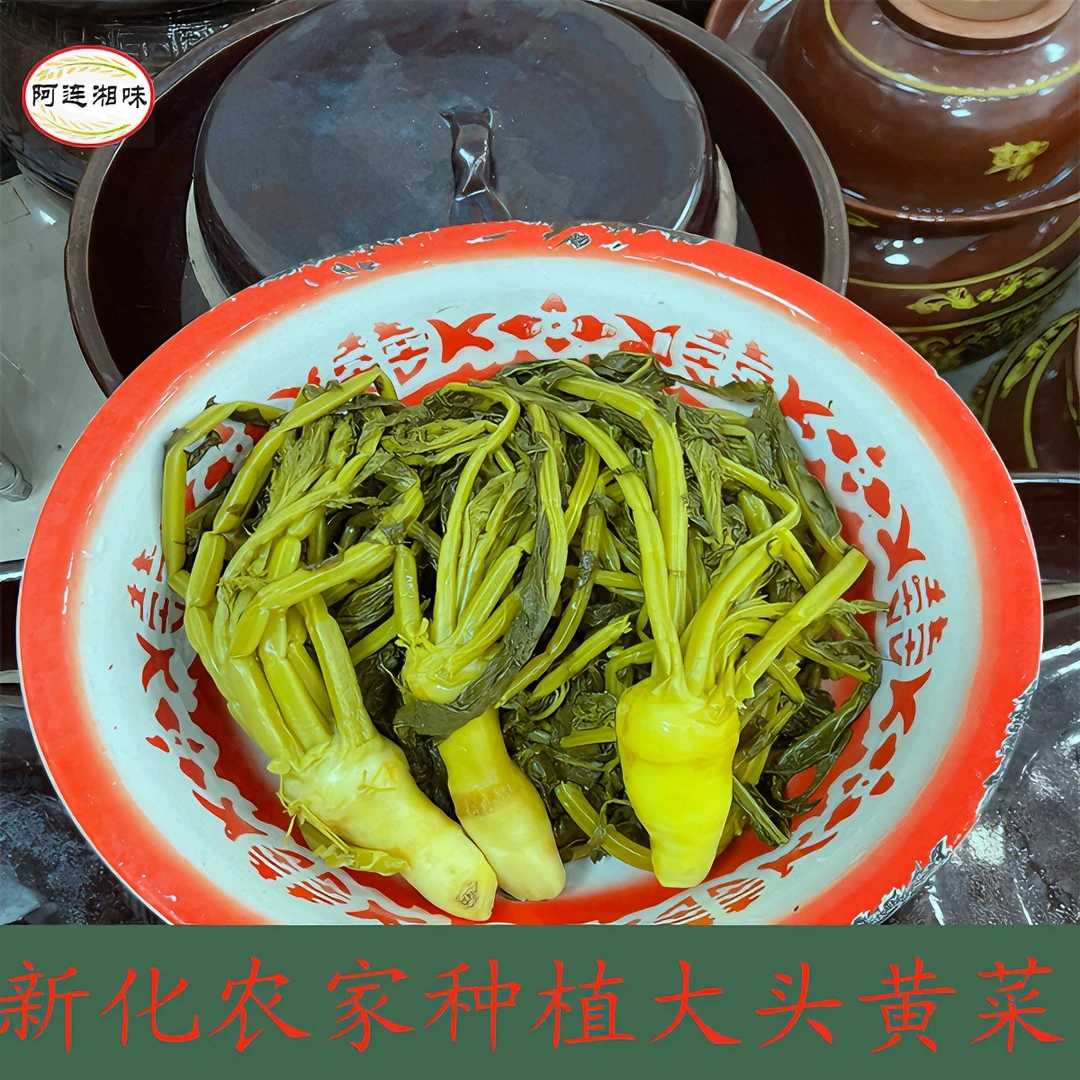 【黄菜】湖南特产腌菜农家种植大头菜雪里红下饭菜