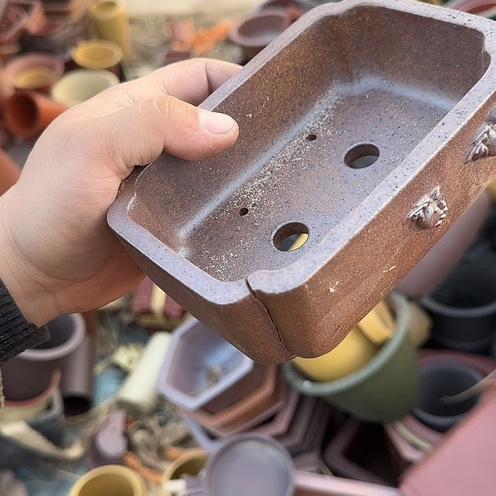 是一个不知名作家与著名导演兼电影演员