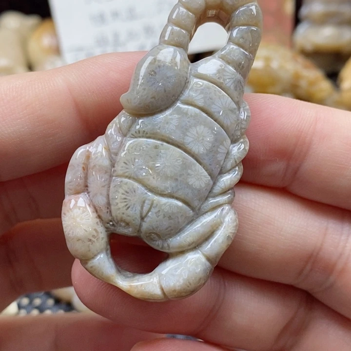 硅化珊瑚（珊瑚玉）颈饰未镶嵌