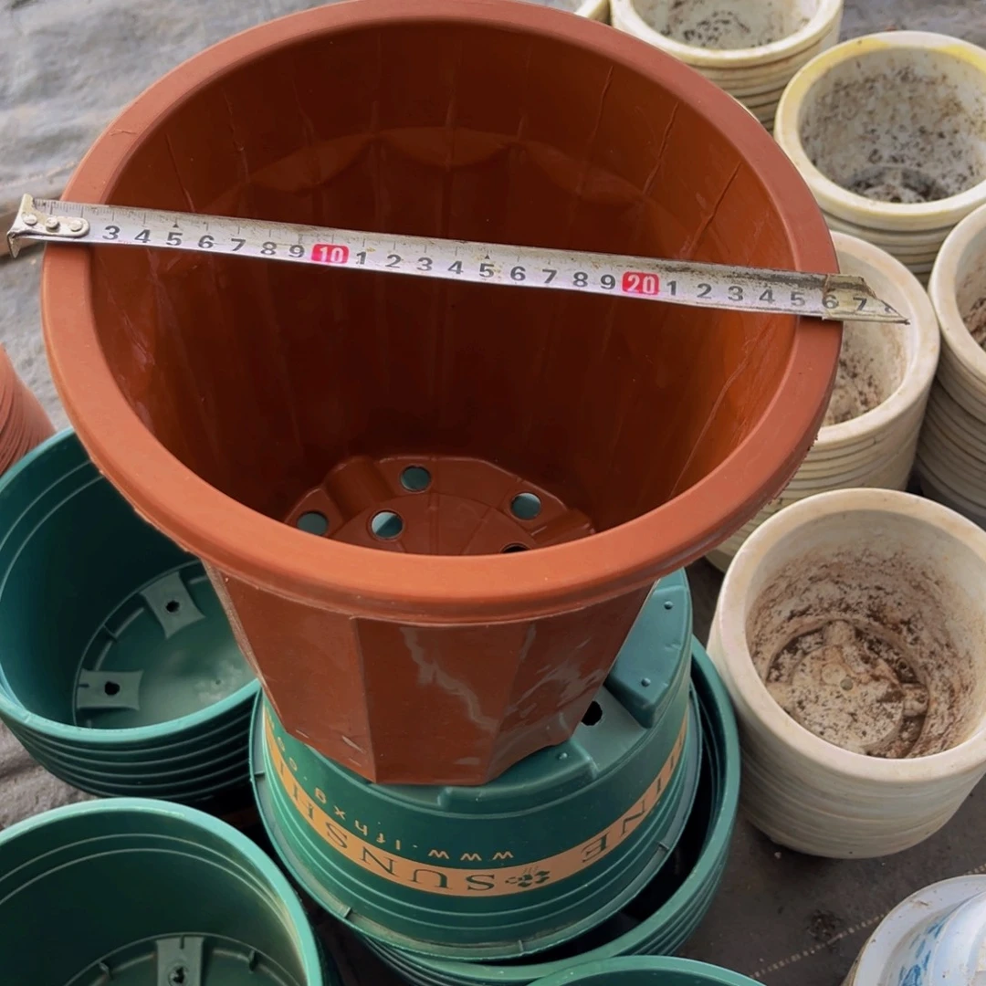 口径26高度25红砖盆10个