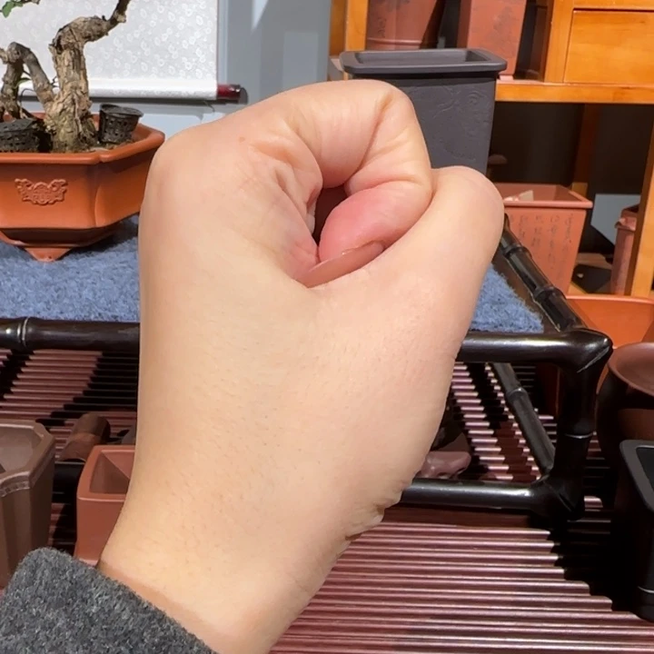 初***一花盆紫砂半手工制作