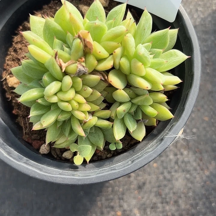 闪购1111呀呀呀呀呀呀呀呀呀