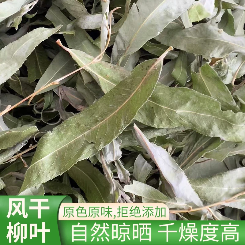 柳树叶晒干全切断产后坐月子洗澡洗头儿童泡澡泡脚