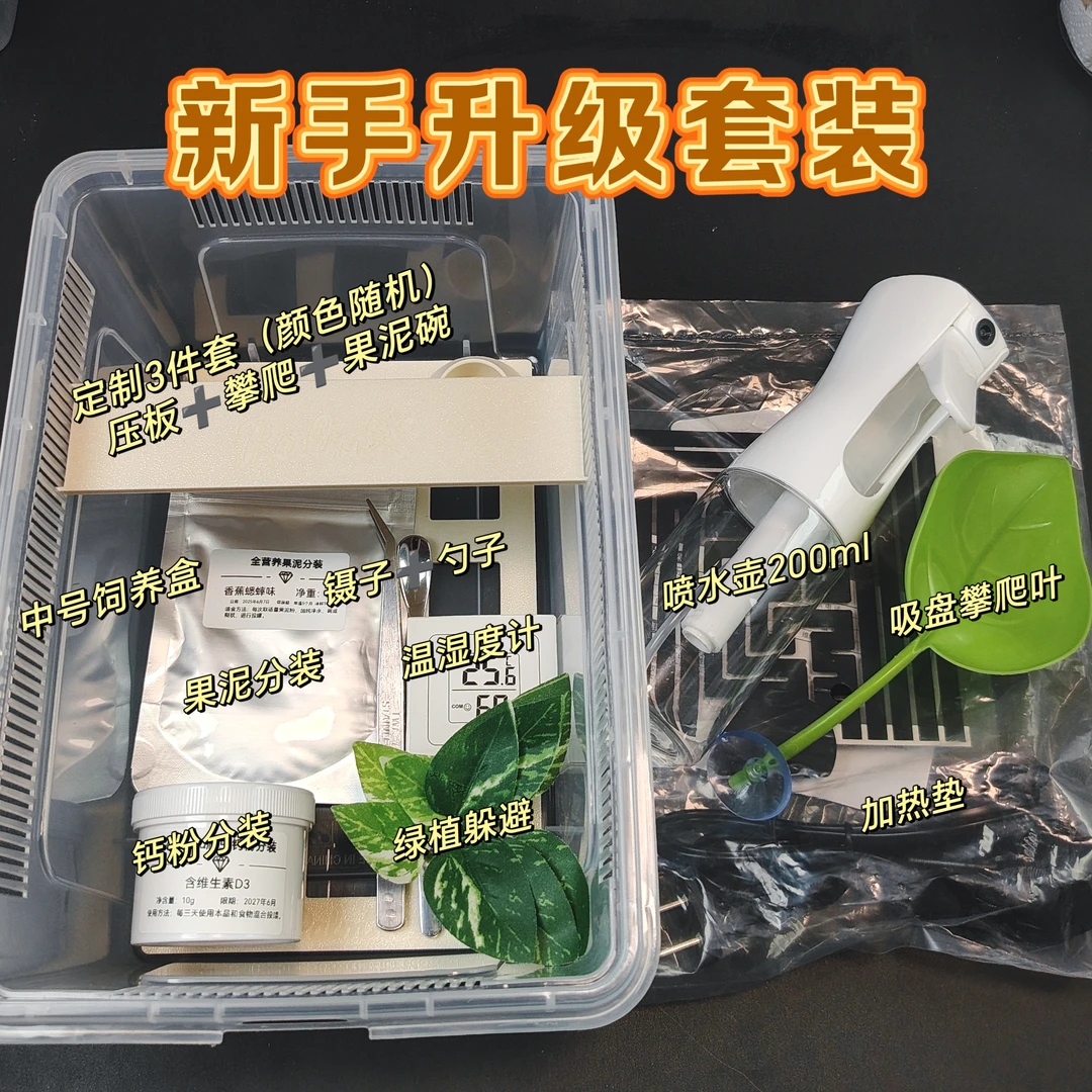 【掌心小怪兽】睫角守宫饲养设备新手入门套装基础套人渣盒饲养盒