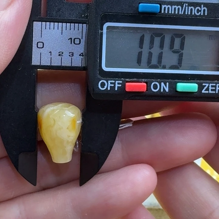 裸石琥珀未镶嵌47