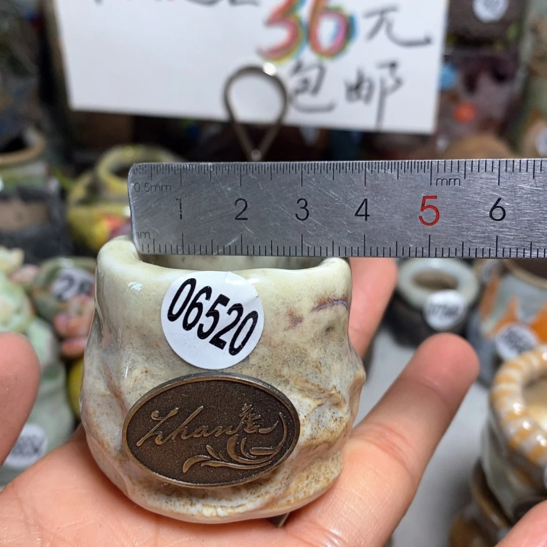 花盆拍5送一个小礼物