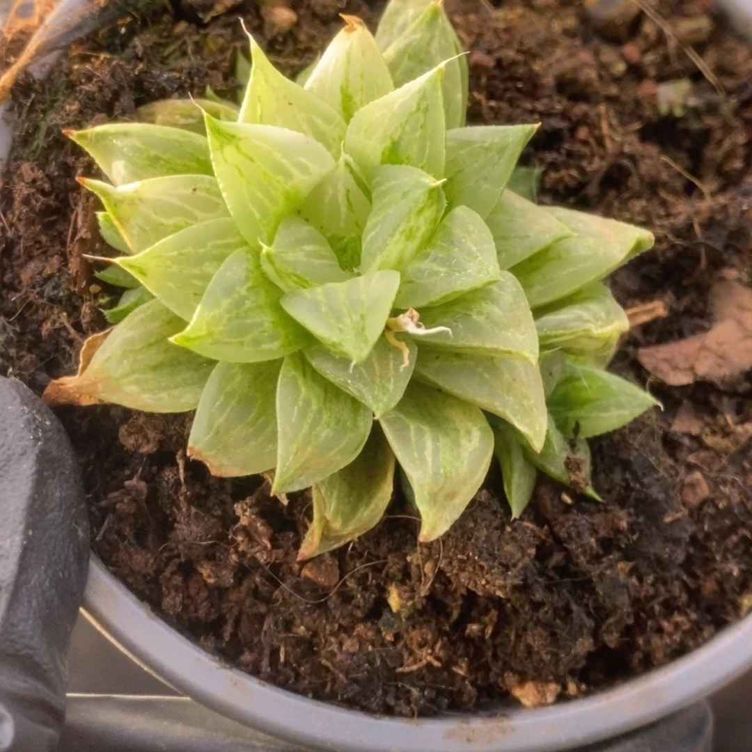 329锦锦锦锦锦锦锦