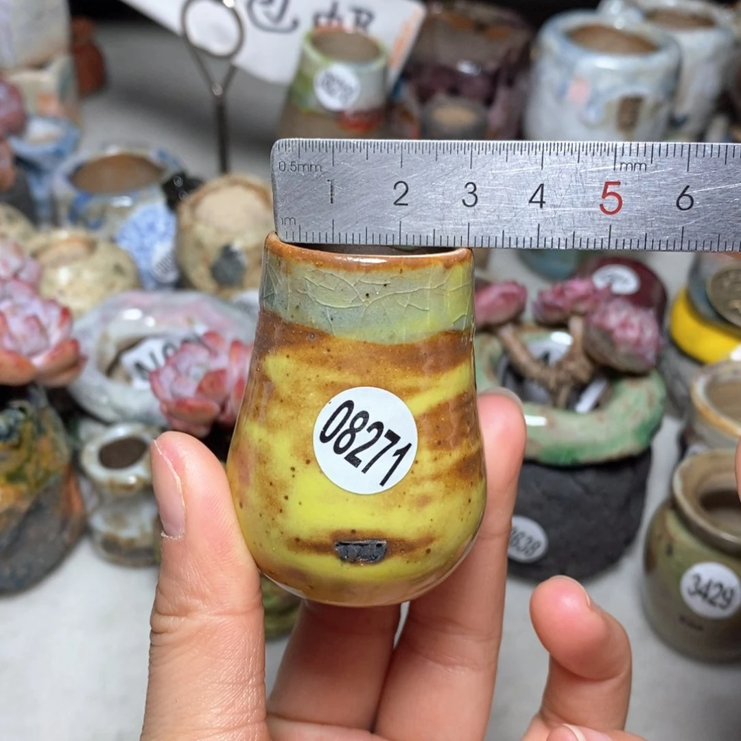 花盆拍5送一个小礼物