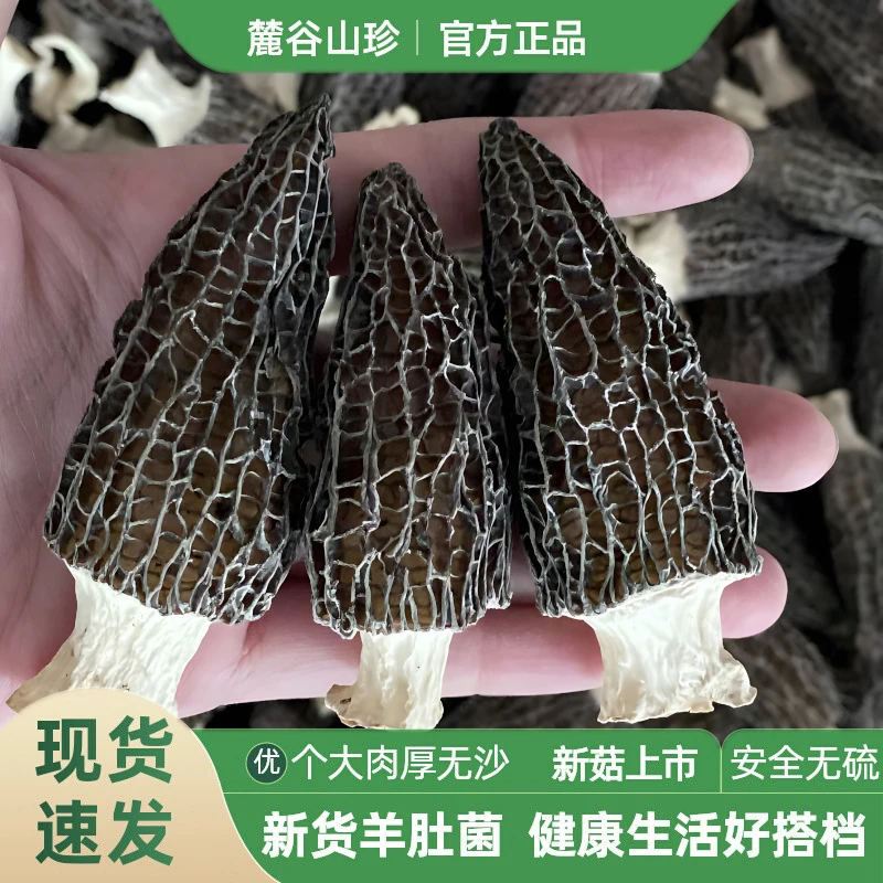 【5-7cm 品质推荐！】麓谷山珍头茬精品特级羊肚菌干货纯干羊肚蘑