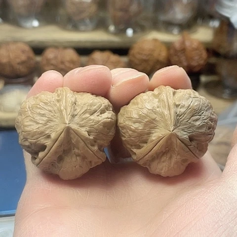 文玩核桃把件玄武索带彩37