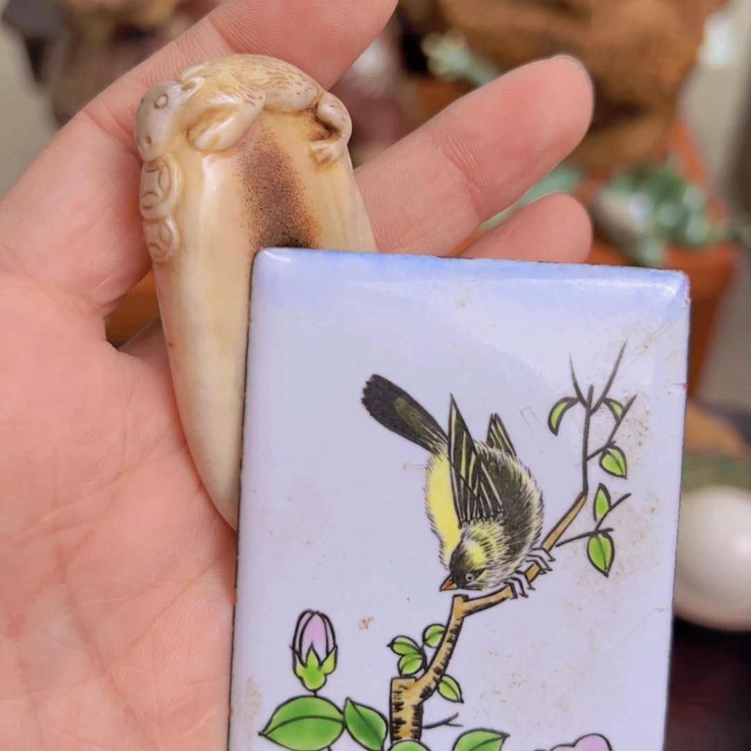 哈哈哈哈哈哈哈哈