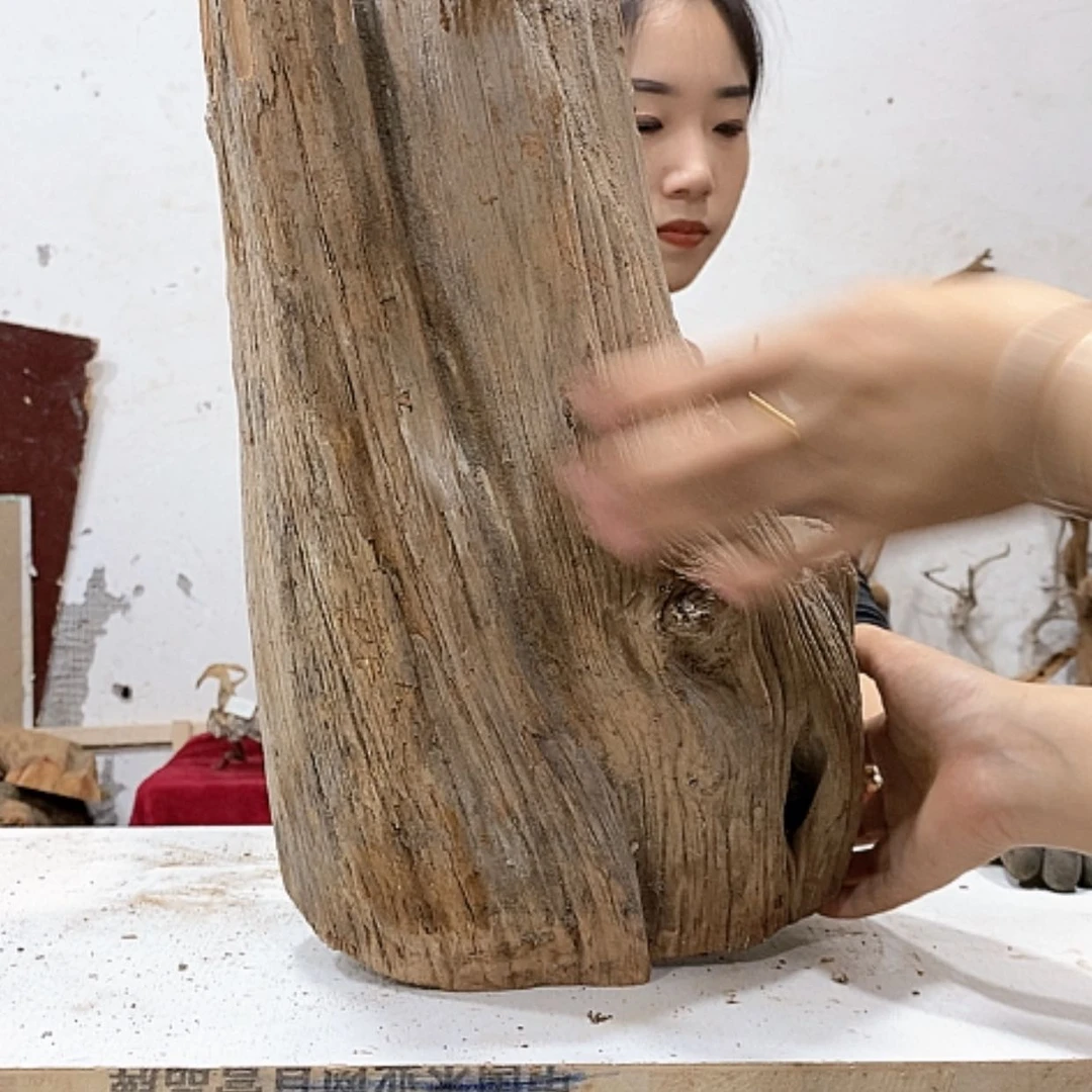 【闪购商品】柏木隨**武我们都是好孩子