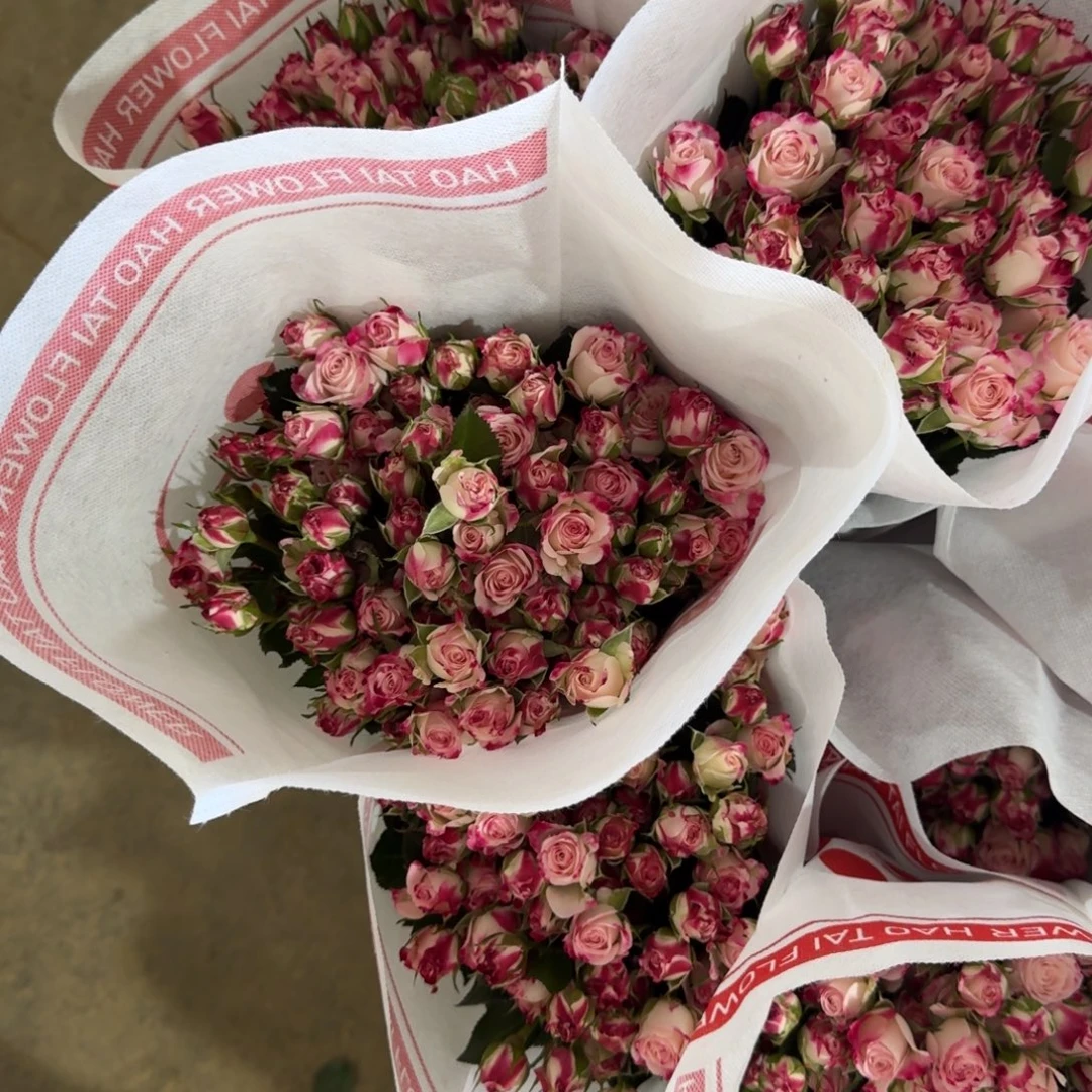 折射8扎中把头包邮价