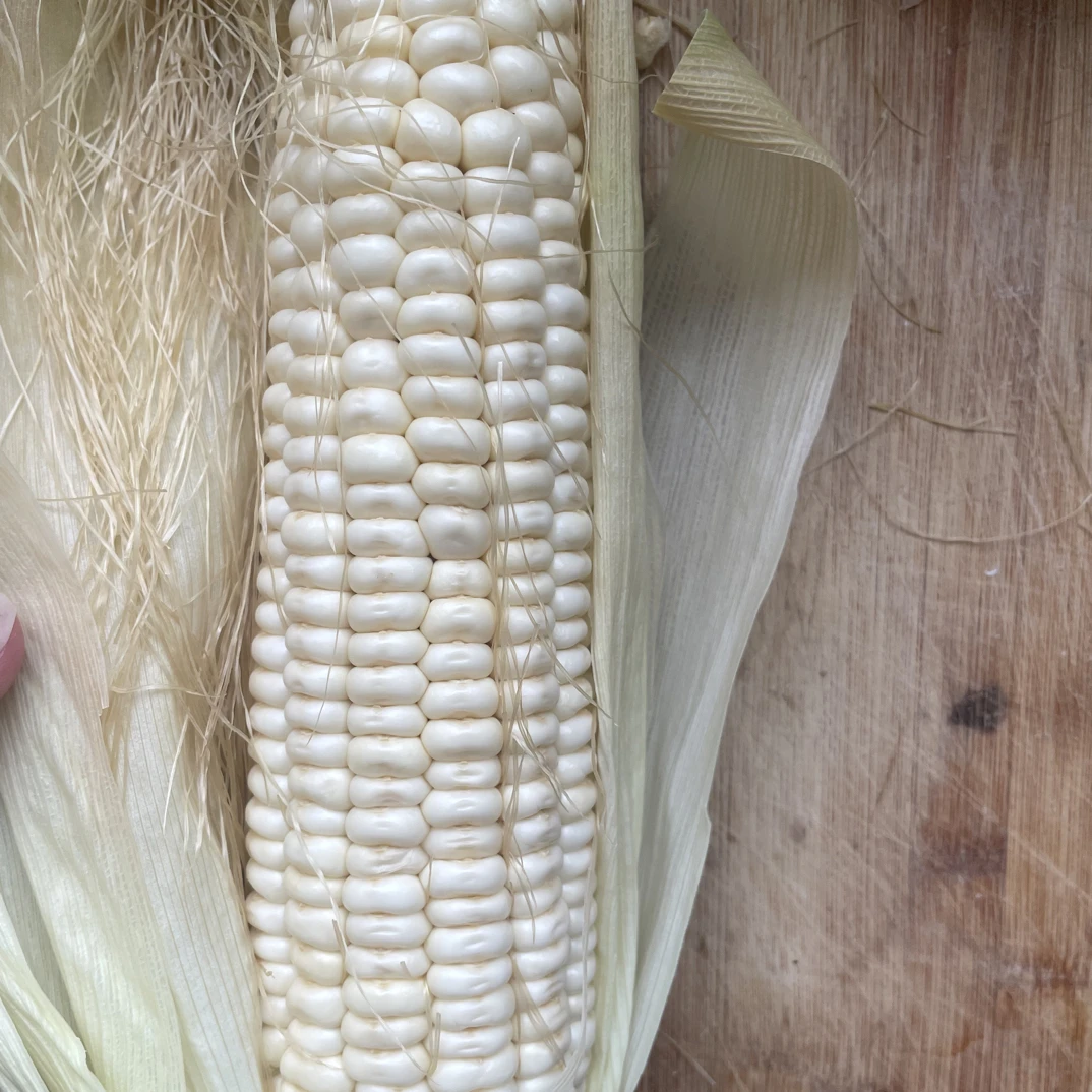 现摘水果糯玉米新鲜现发