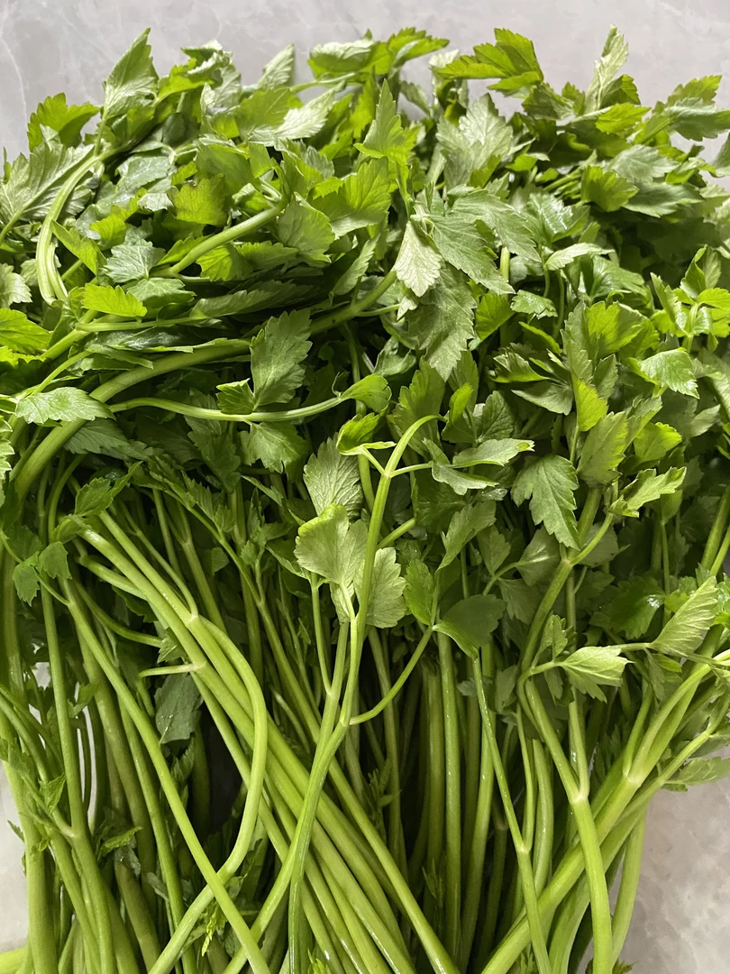 东北野生现掰新鲜水芹菜
